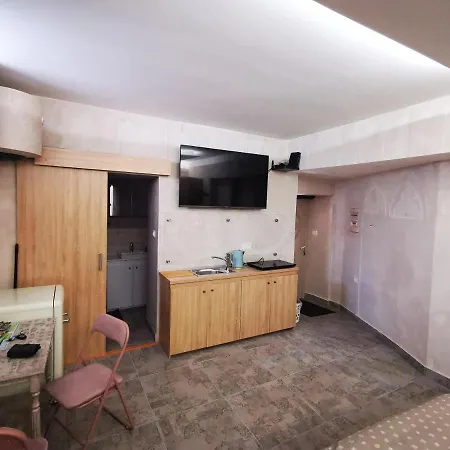 Apartma Veneziano *