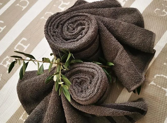 Apartma Veneziano 公寓 *